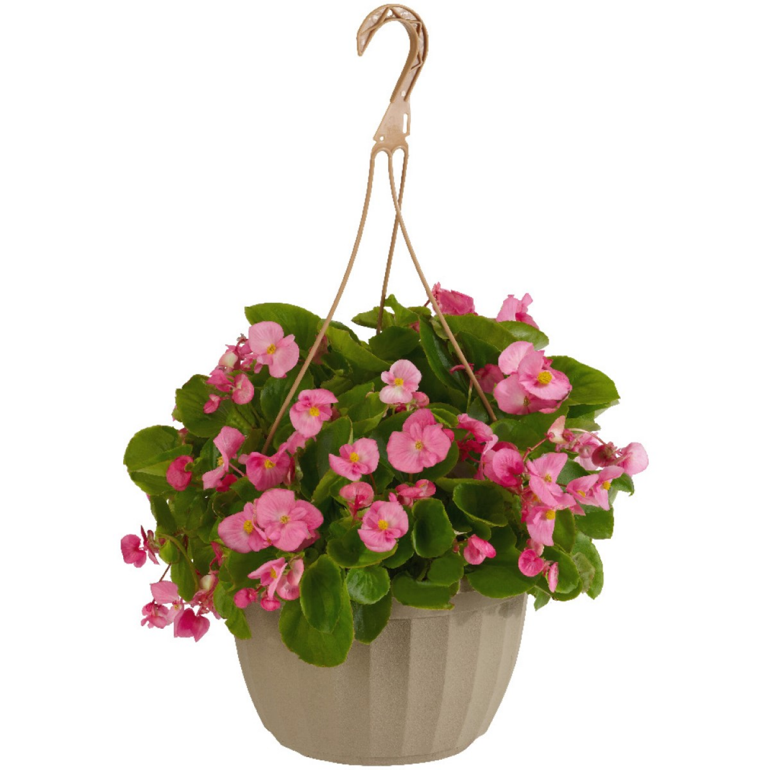 slide 2 of 2, Deluxe Hanging Flower Basket, 1 ct