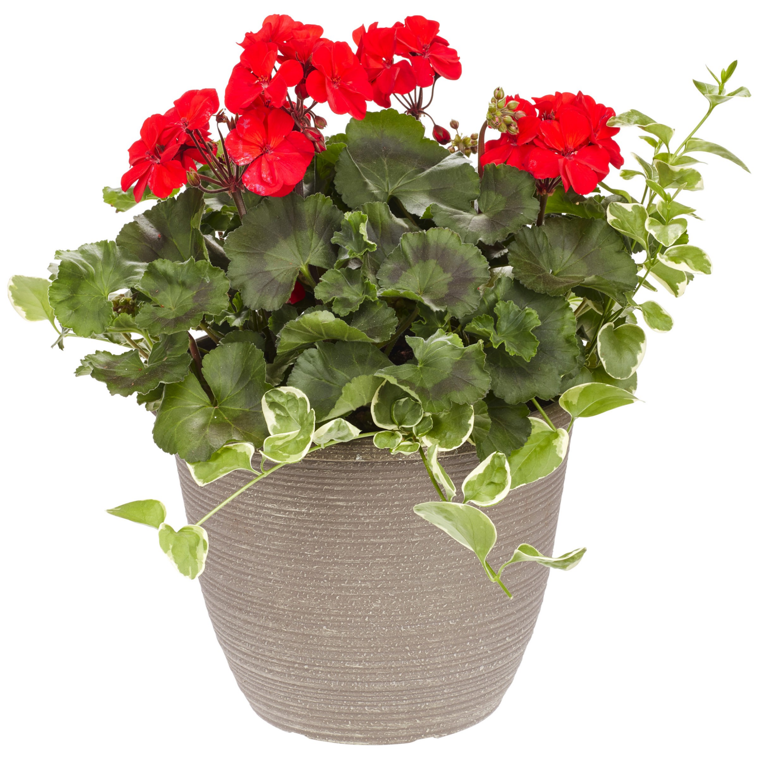 slide 3 of 3, 11.0 Premium Patio Planter, 1 ct