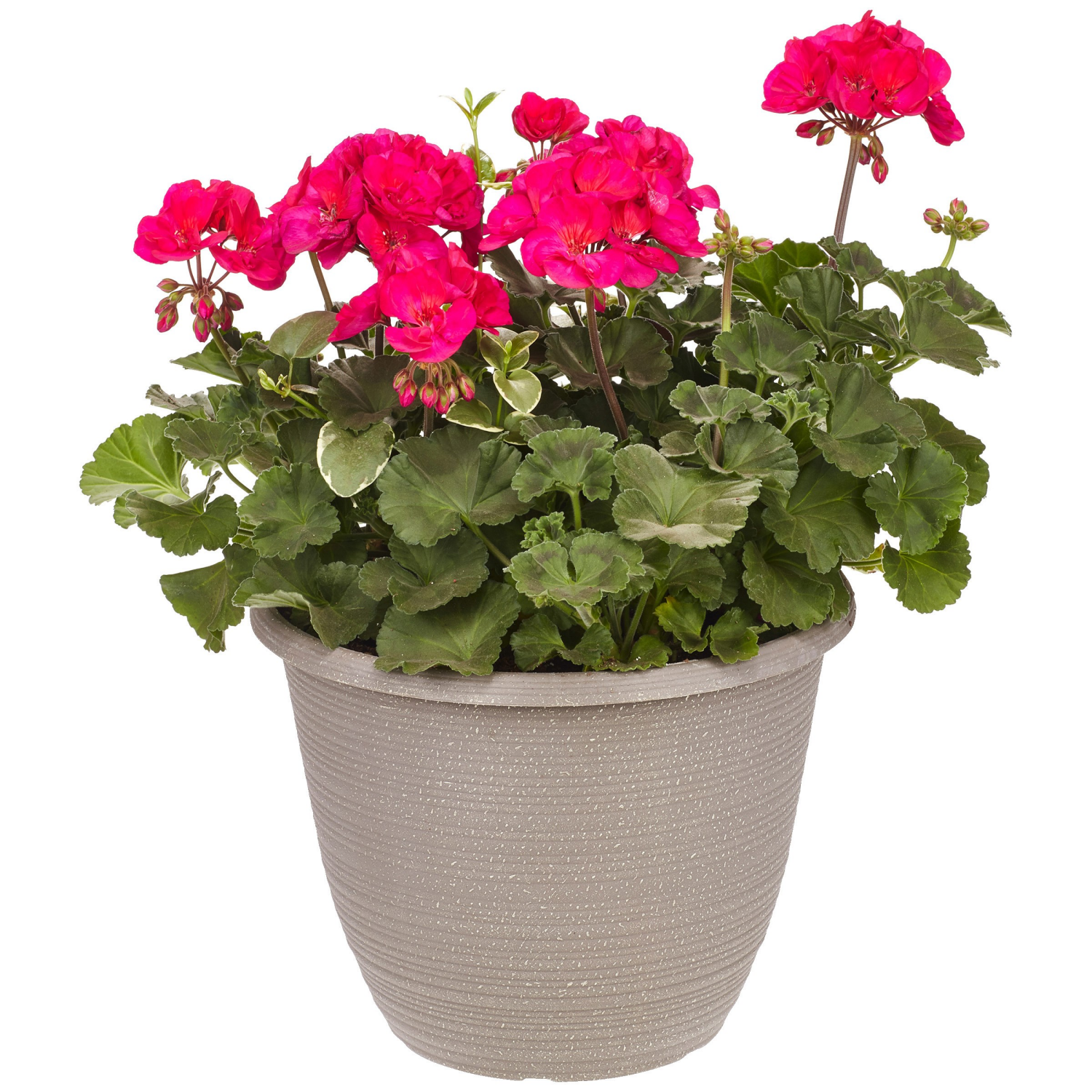slide 1 of 3, 11.0 Premium Patio Planter, 1 ct