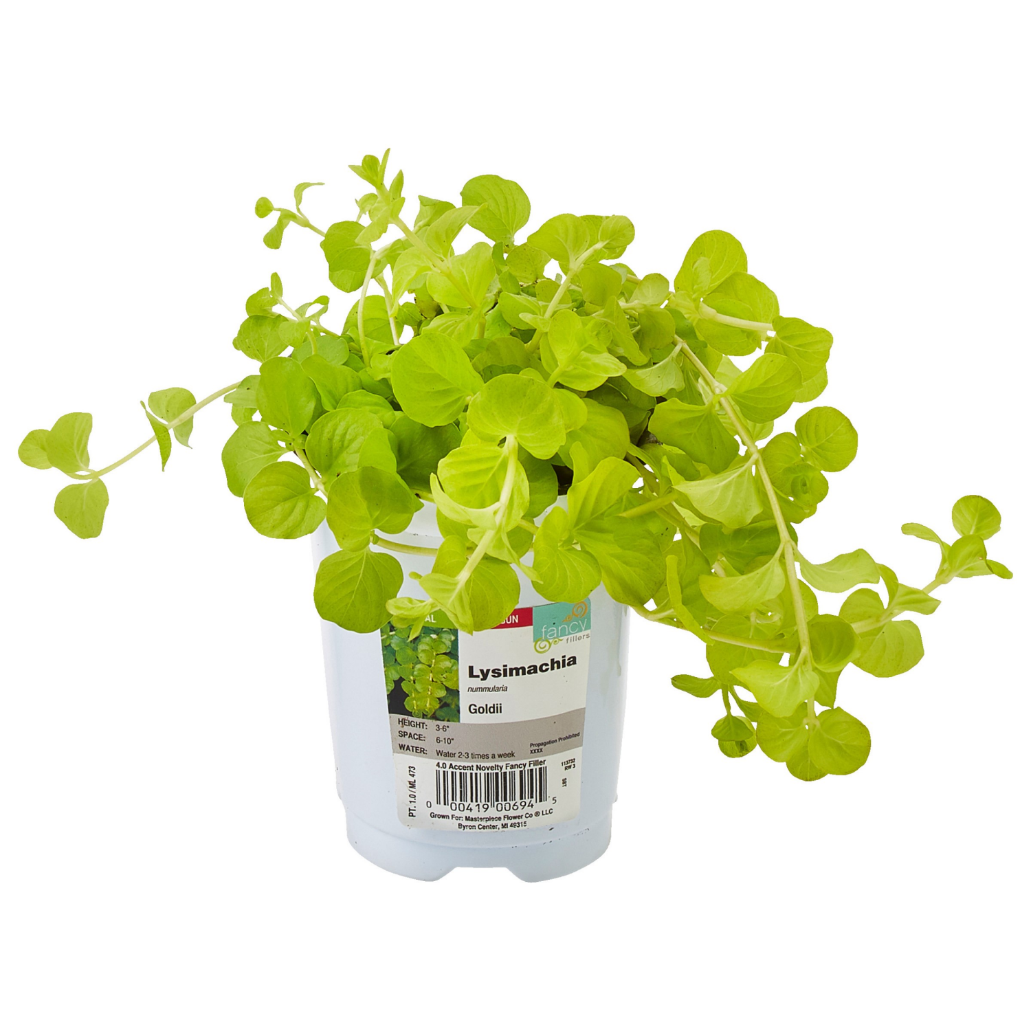 slide 2 of 2, 4.0 Fancy Fillers, 1 ct