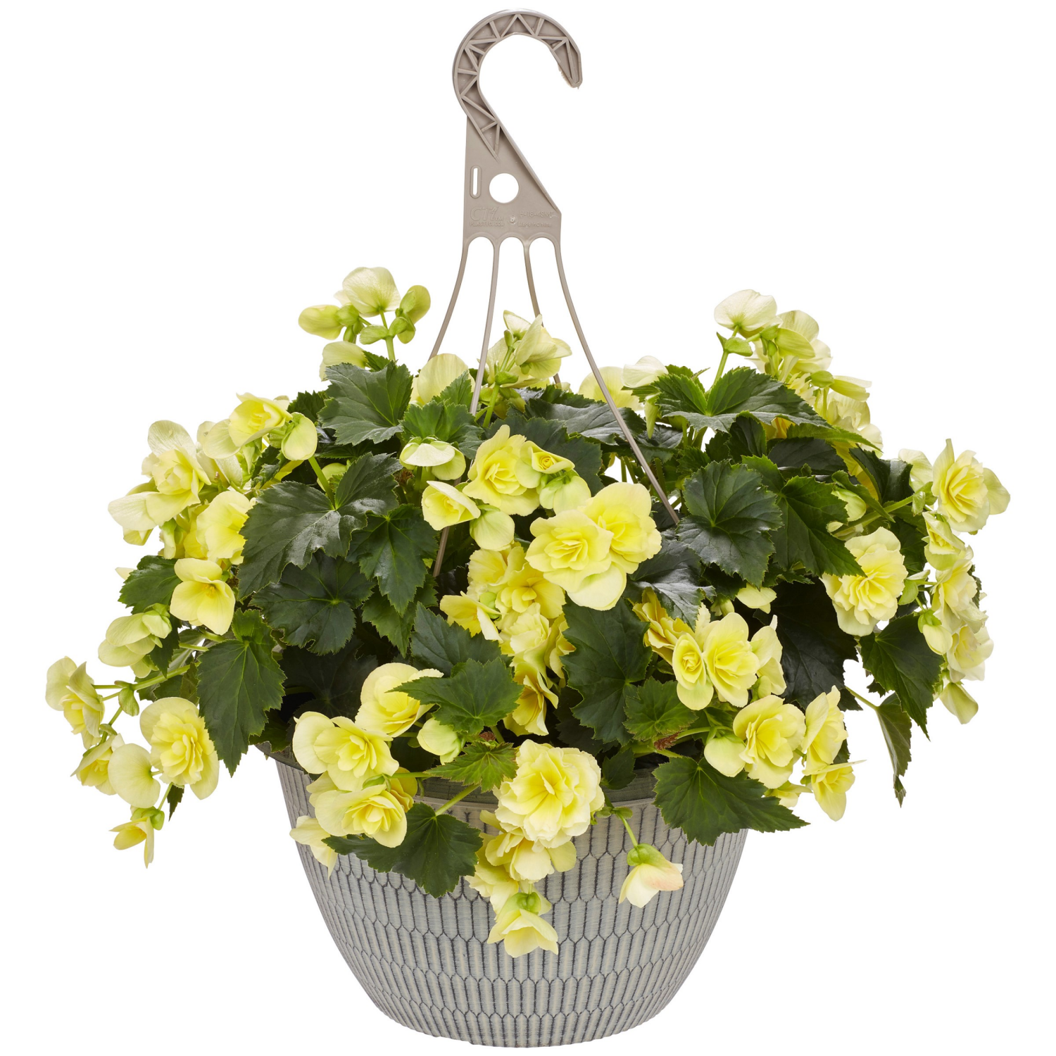 slide 3 of 3, Garden Exclusive 13.0 Hanging Basket, 1 ct