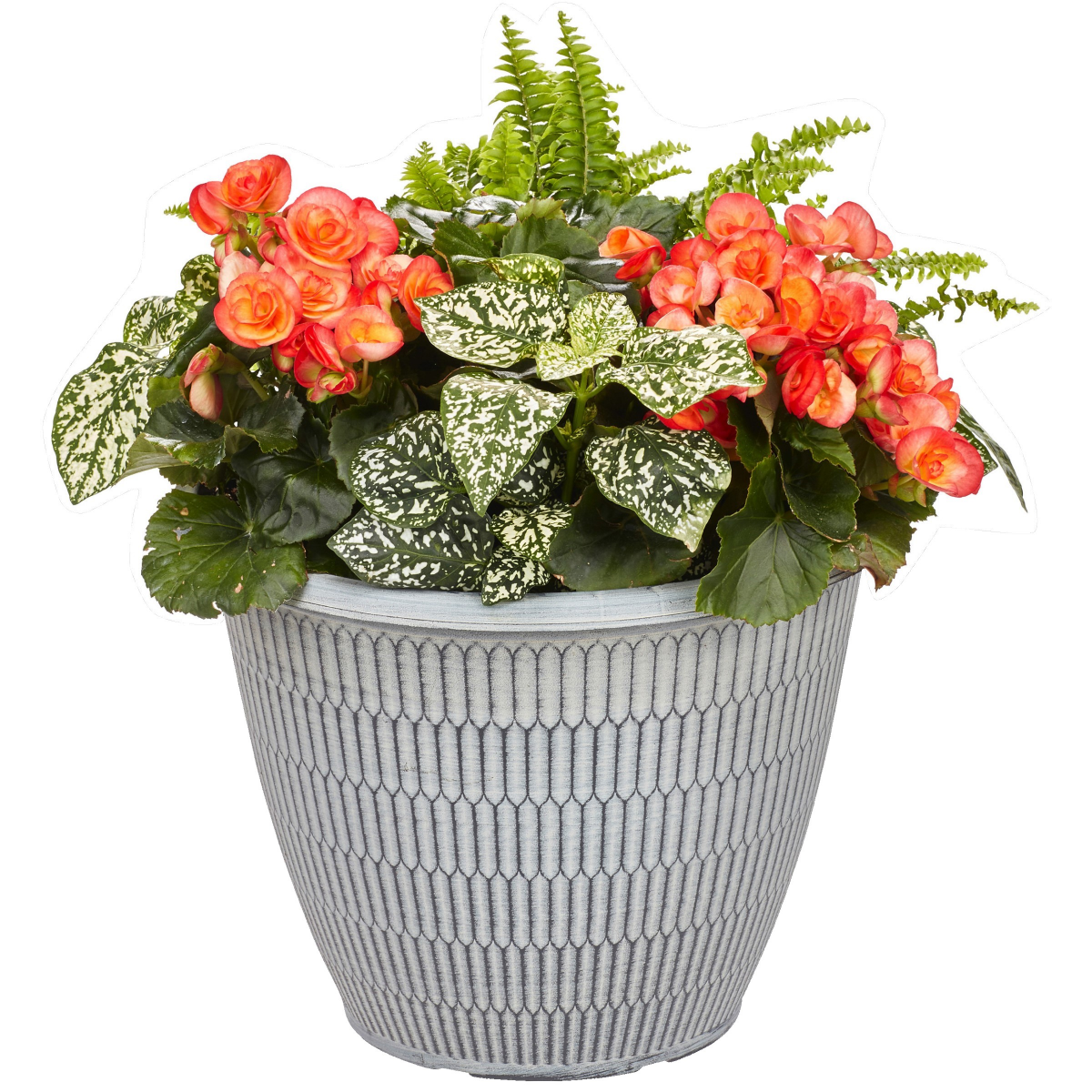 slide 2 of 2, Garden Exclusives 13.0 Patio Planter, 1 ct
