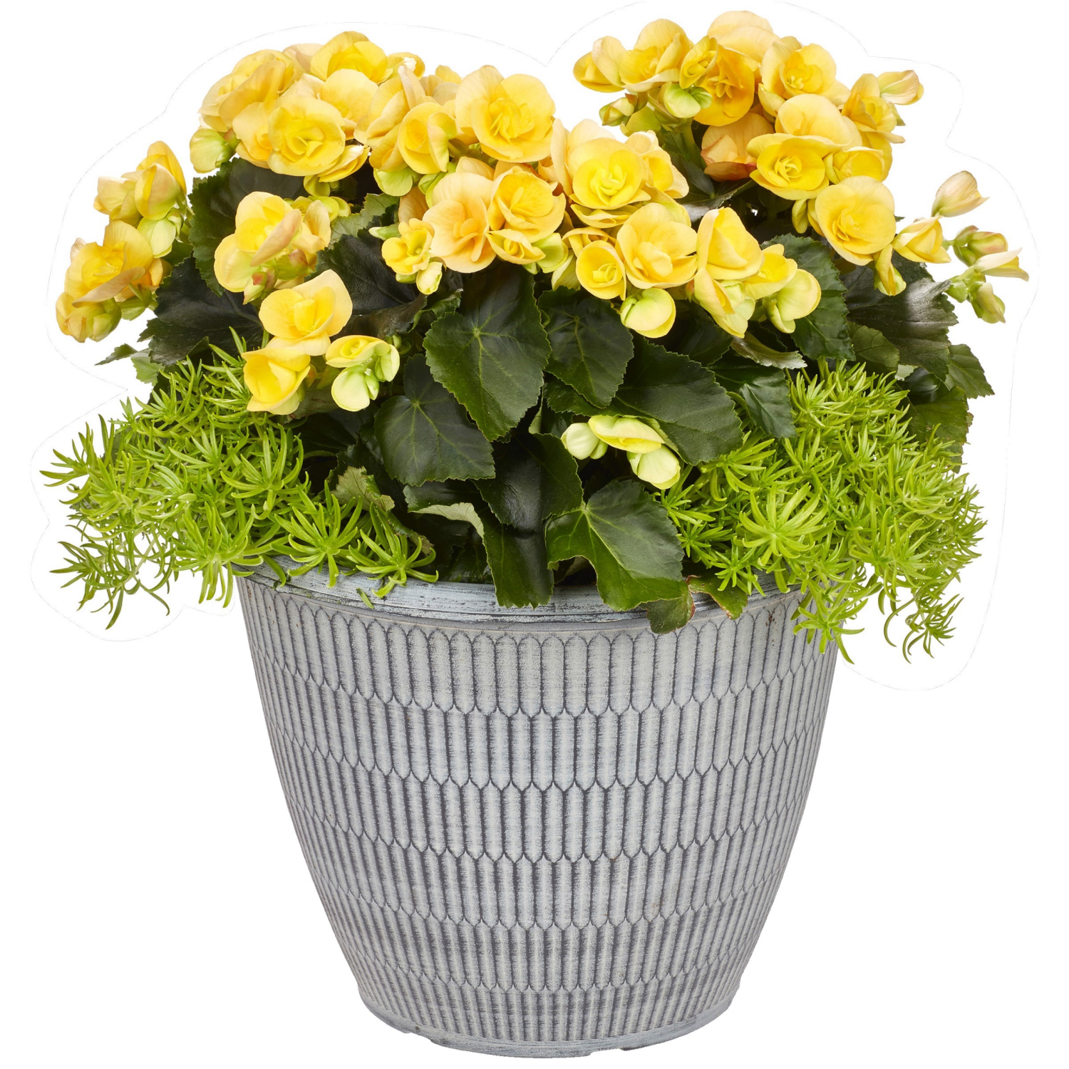 slide 1 of 2, Garden Exclusives 13.0 Patio Planter, 1 ct