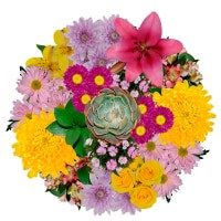 slide 3 of 9, Great Lakes Living Bouquet, 1 ct