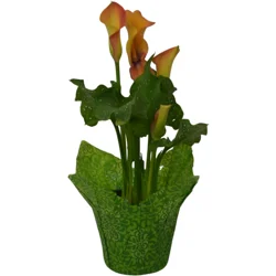 6.0 Calla Lily Holiday