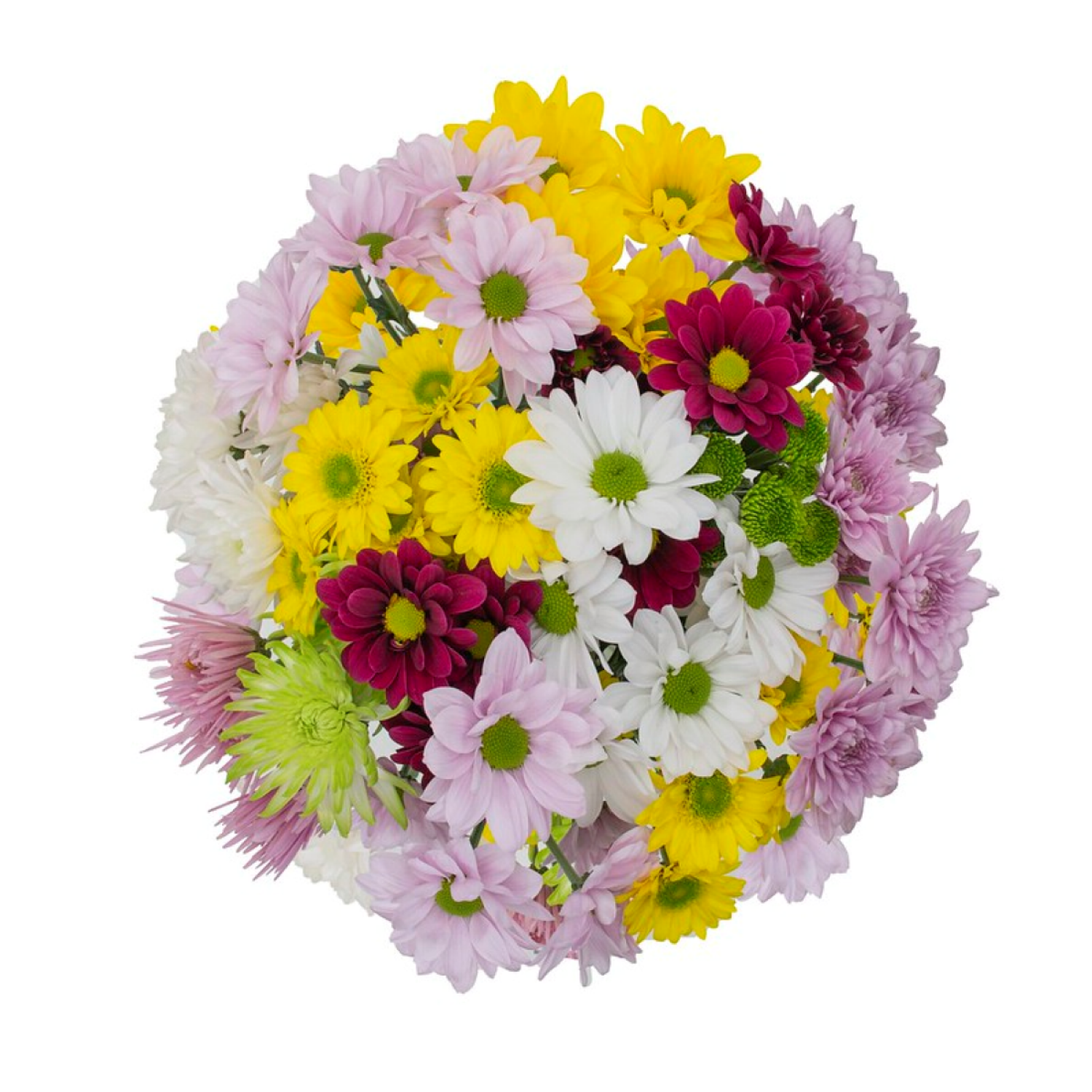 slide 1 of 1, Chrysanthemums Designer, Bunch, 1 ct