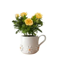 Mini Rose, 4.5" Designer Planter