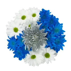 Mixed Game Day Vibes Bouquet