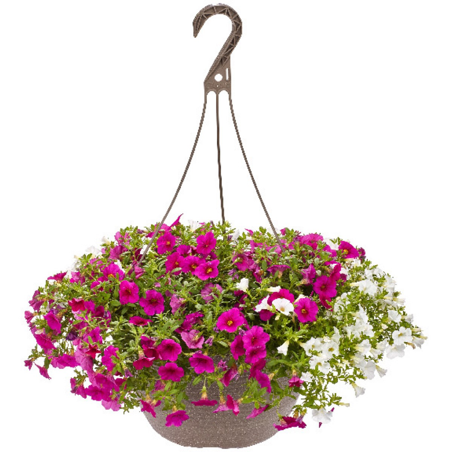 slide 1 of 5, 12.0 Premium Hanging Basket, 1 ct