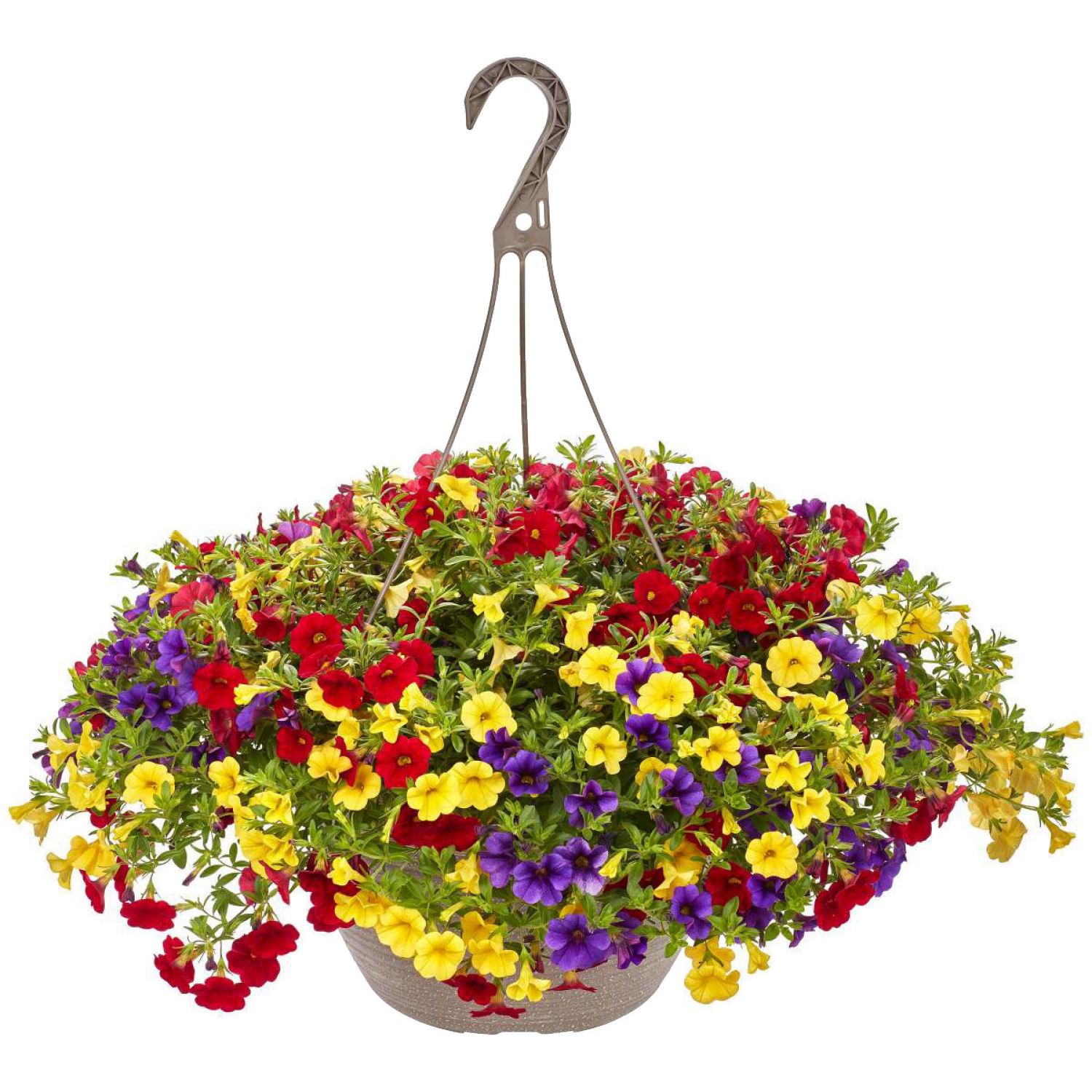 slide 2 of 5, 12.0 Premium Hanging Basket, 1 ct
