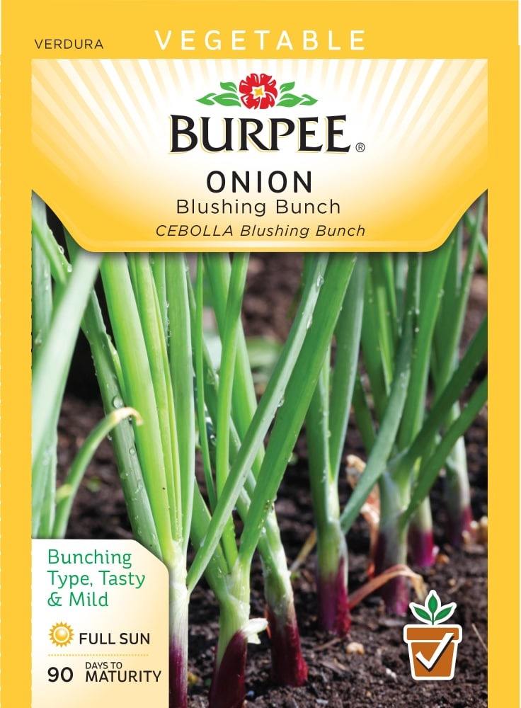 slide 1 of 1, Burpee Blushing Bunch Onion Seeds, 1 ct