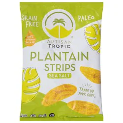 Artisan Tropic Sea Salt Plantain Strips 4.5 oz