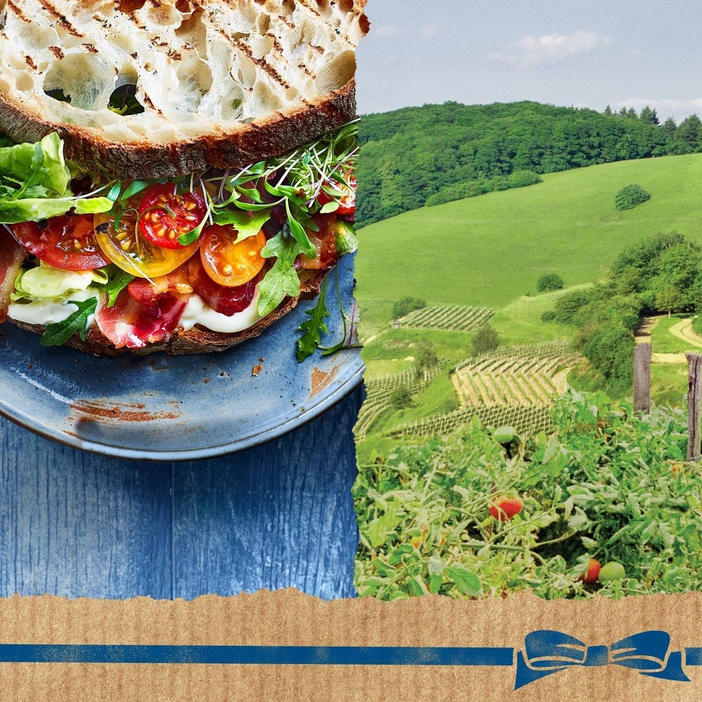 Hellmann's Jalapeno Ranch Sauce 9 oz Shipt