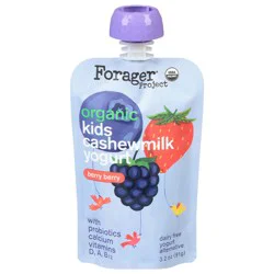 Forager Project Dairy Free Organic Kids Berry Berry Cashewmilk Yogurt 3.2 oz