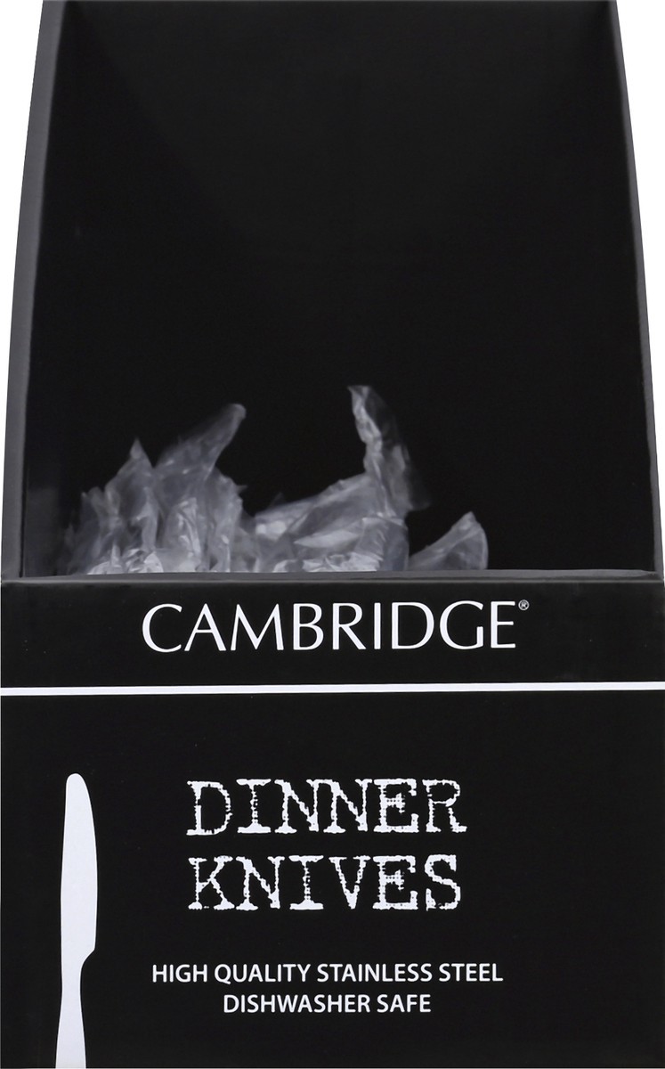 slide 2 of 2, Cambridge Silversmiths Bourne Mirror Dinner Knife, 1 ct