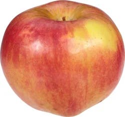 Autumn Glory Apples