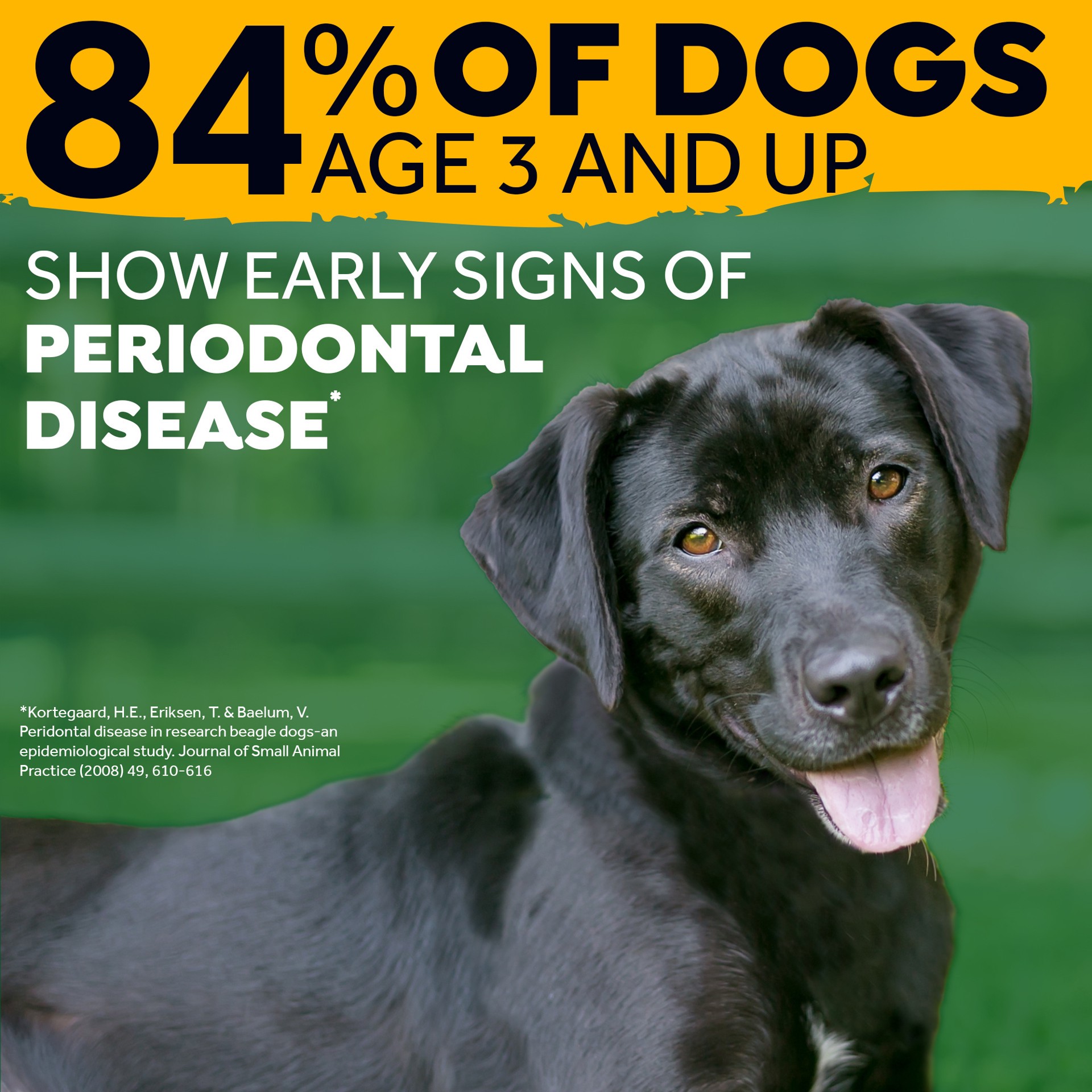 slide 3 of 9, TropiClean Fresh Breath Peanut Butter Oral Care Spray for Pets, 4oz, 4 oz