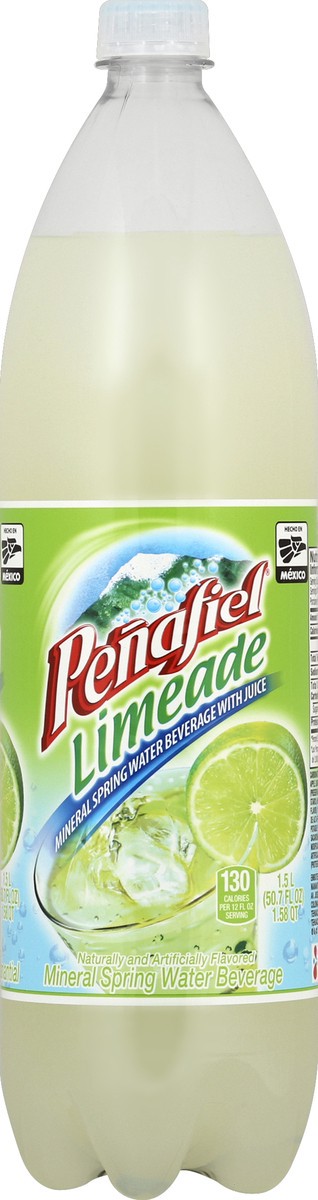 slide 1 of 8, Peñafiel Water Beverage 50.7 oz, 50.7 oz