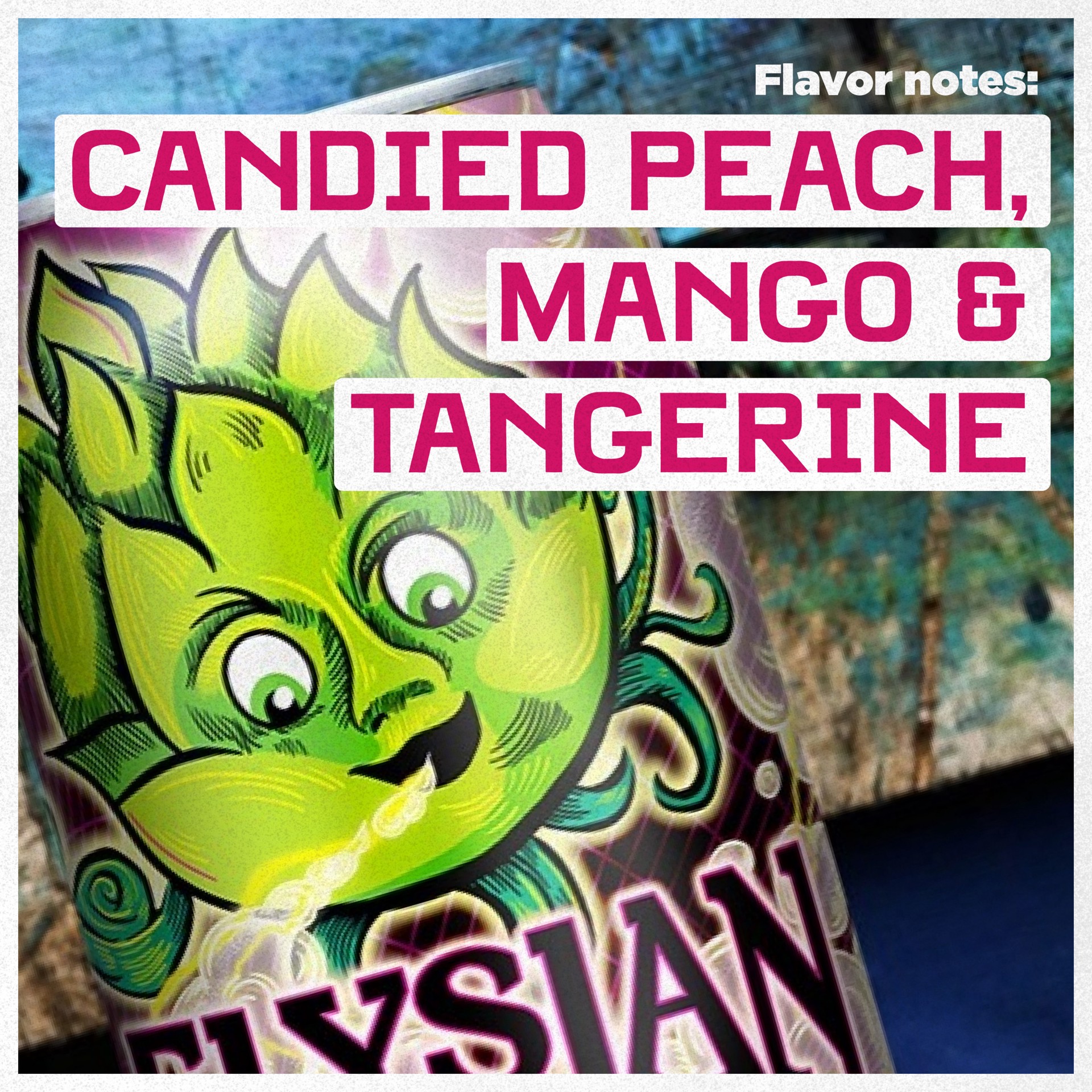 slide 2 of 8, Elysian Phaze Dust Hazy IPA Craft Beer 6 Pack 12 fl oz cans, 6 ct; 12 fl oz