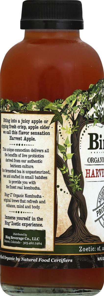 slide 2 of 6, Bing Organic Kombucha Harvst Apple - 16 fl oz, 16 fl oz