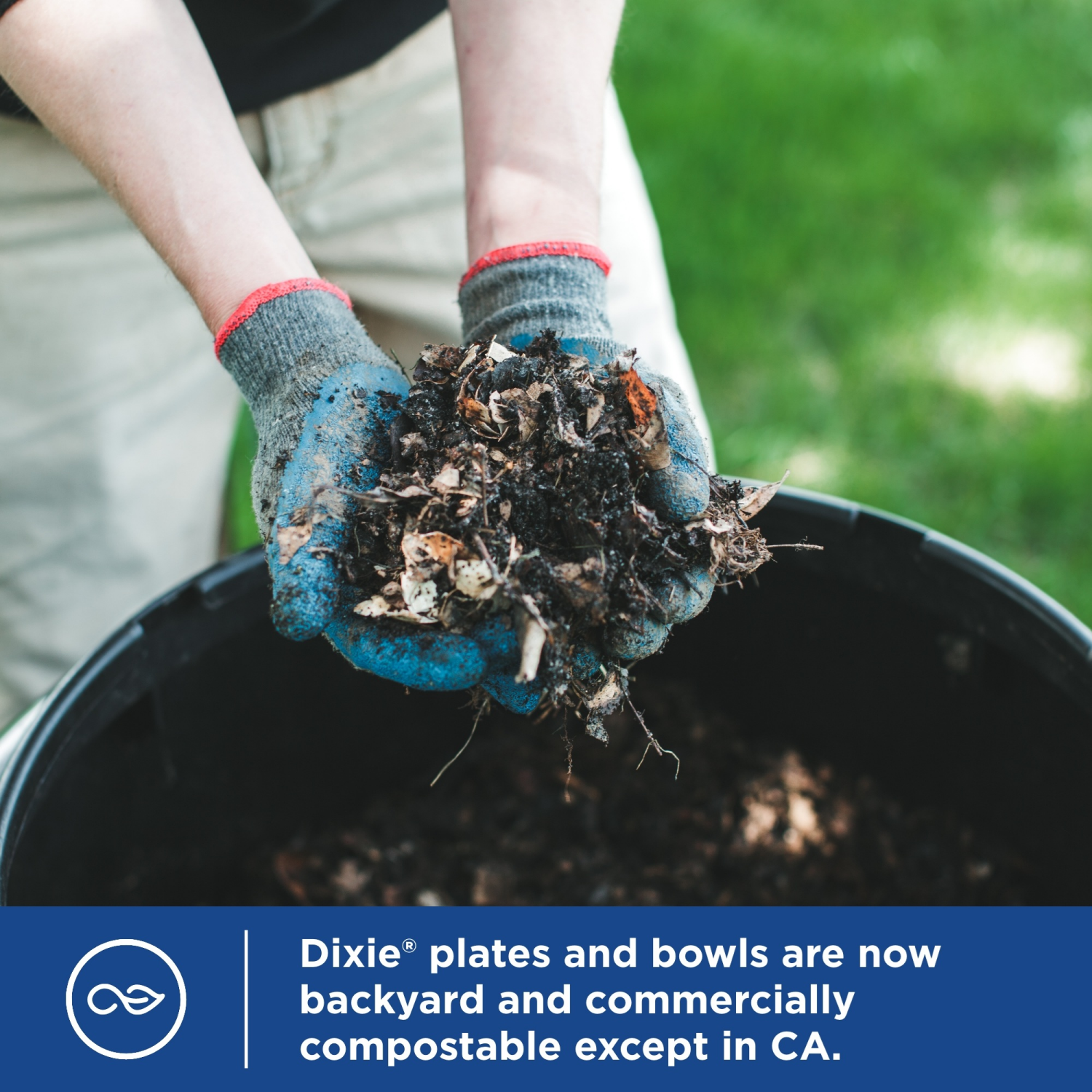 slide 2 of 5, Dixie 10 Ounce Bowls 36 ea, 36 ct