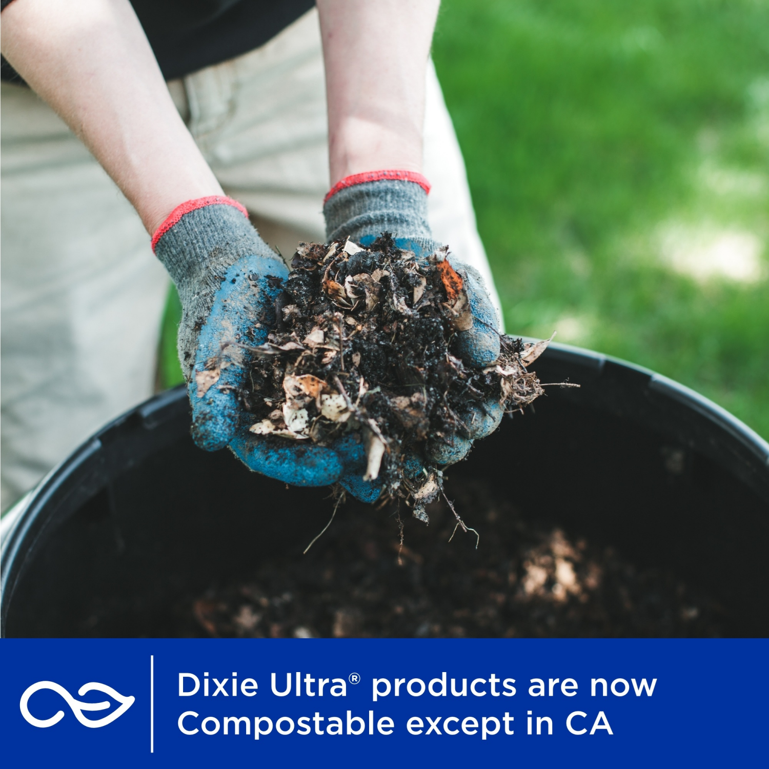 slide 8 of 8, Dixie Ultra Compostable 9 Inch Deep Dish Plates, 40 Count, 40 ct