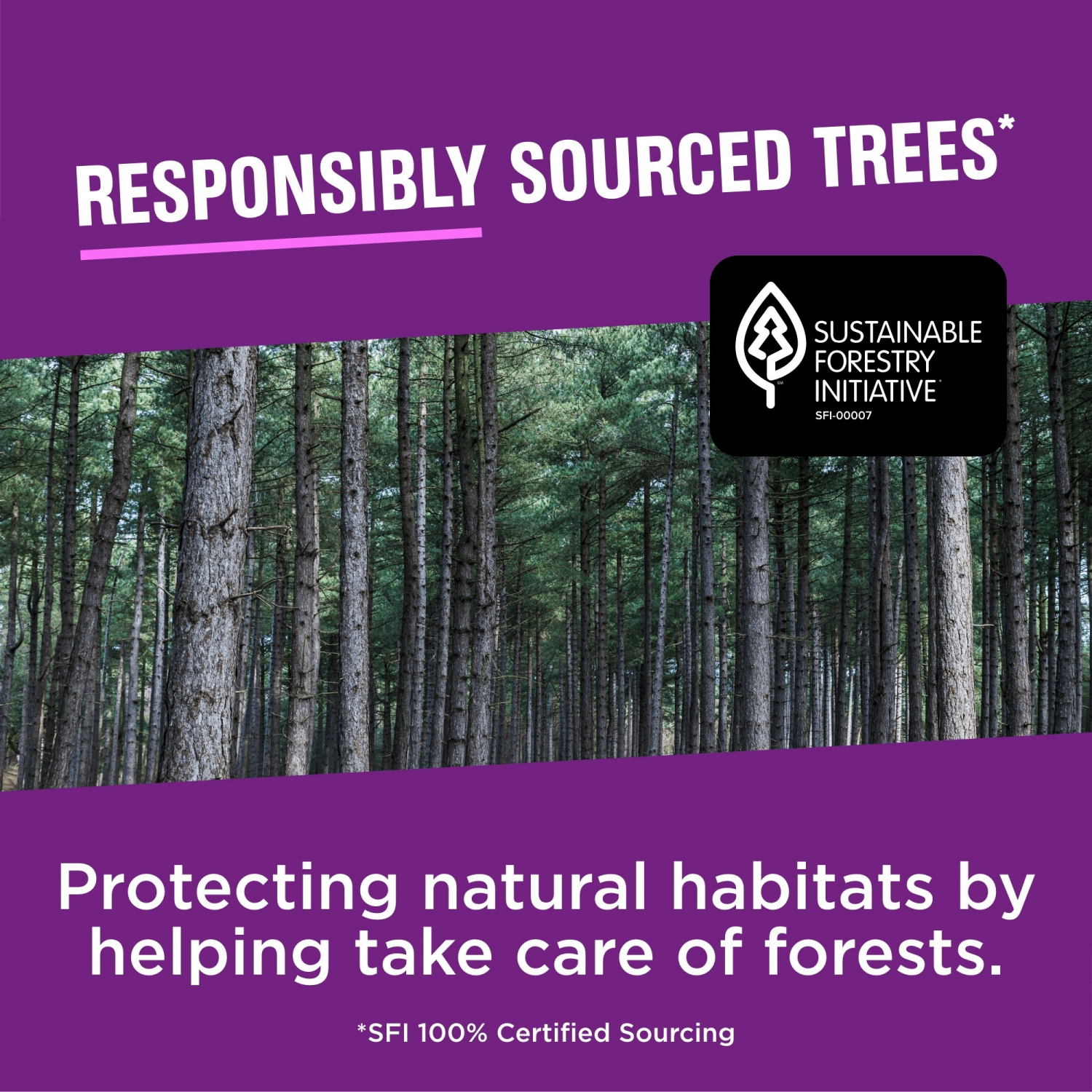 slide 5 of 5, VANITY FAIR Napkins, Everyday, Extra Absorbent, 2-Ply, 80 ct