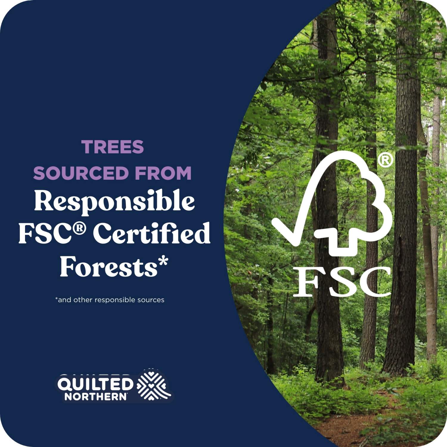 slide 8 of 8, Quilted Northern Bathroom Tissue, Unscented, Super Mega Rolls, 3-Ply, 8 ct