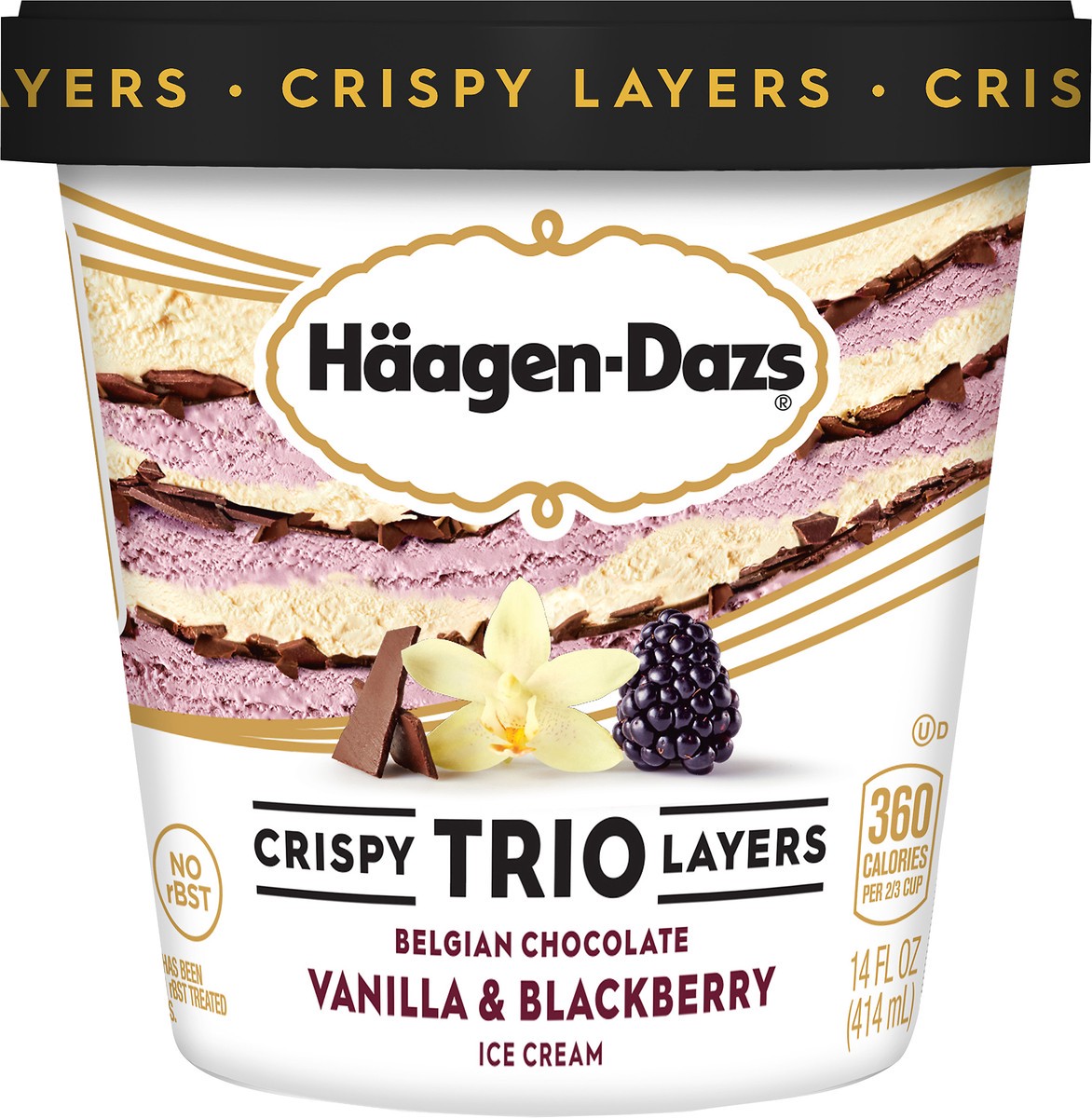 slide 4 of 7, Häagen-Dazs Trio Vanilla Blackberry Chocolate Ice Cream, 14 fl oz