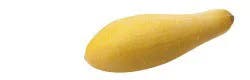 Yellow Squash