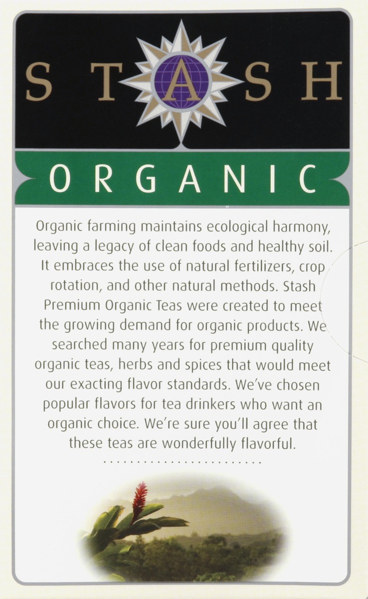 slide 2 of 5, Stash Organic Lemon Ginger Green Tea - 18 ct, 18 ct