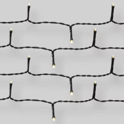 50ct Outdoor LED Euro String Lights Battery Operated Black Wire - Project 62