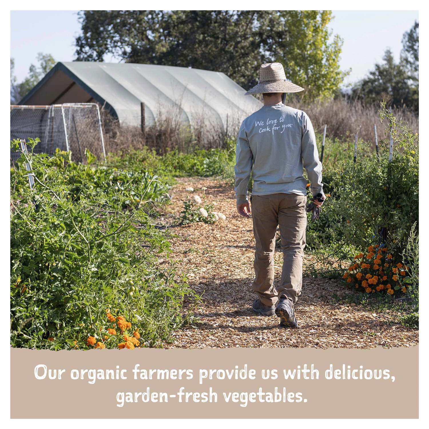 slide 3 of 5, Amy's Amy’s Organic Quinoa, Kale & Red Lentil Soup, 14.4 oz., 14.40 oz