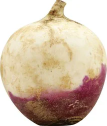 Turnip 1 ea