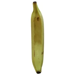 Plantains