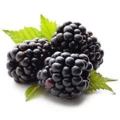 Mora