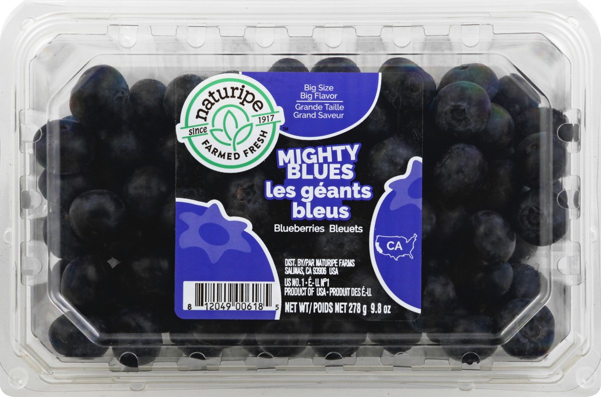 slide 1 of 9, Naturipe Mighty Blues Blueberries 9.8 oz, 9.8 oz