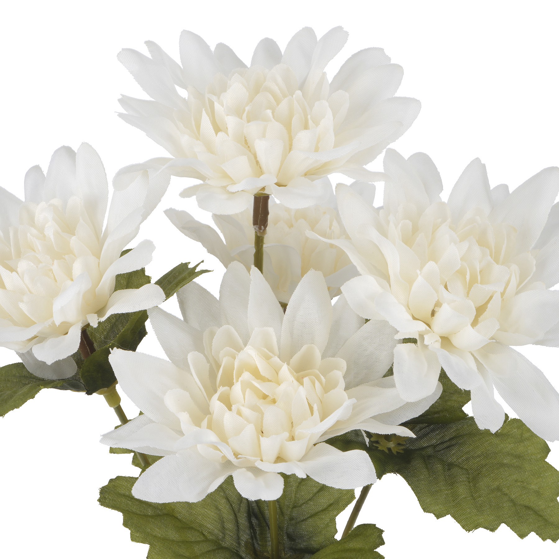 slide 2 of 2, 12" Dahlia Bush By Ashland, 12 in