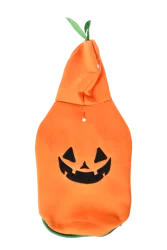Max & Marlow Pumpkin Hoodie