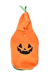 Max & Marlow Pumpkin Hoodie