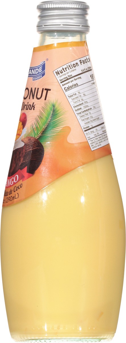 slide 6 of 13, Rio Grande Mango Coconut Milk Drink 9.8 fl oz, 9.8 fl oz
