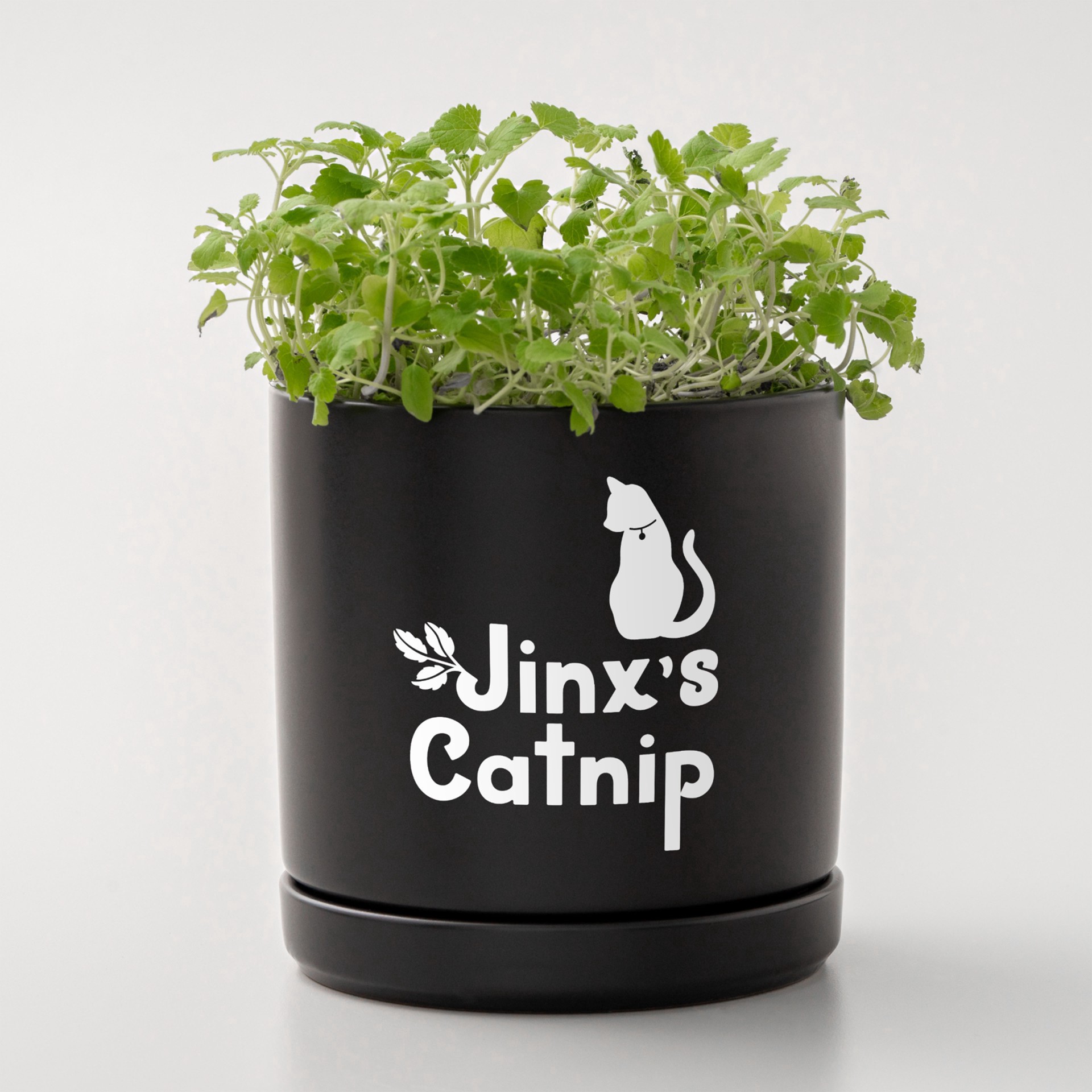 slide 7 of 7, Cricut Cricuit Joy Xtra Removable Smart Vinyl, 9.5 in x 3 ft