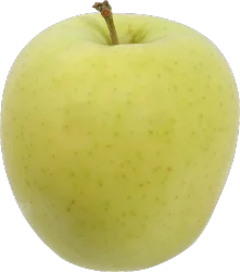 Tropical Golden Delicious Apples