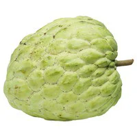 Cherimoya