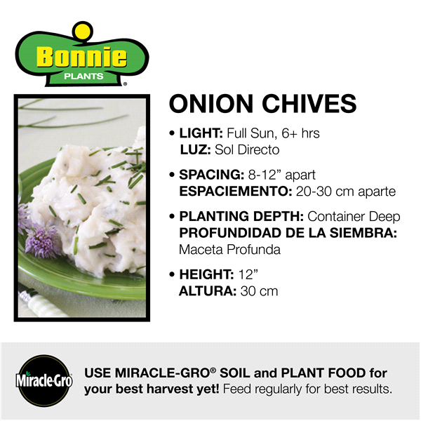 slide 5 of 9, Bonnie Plants  Chives Onion, 19.3 oz