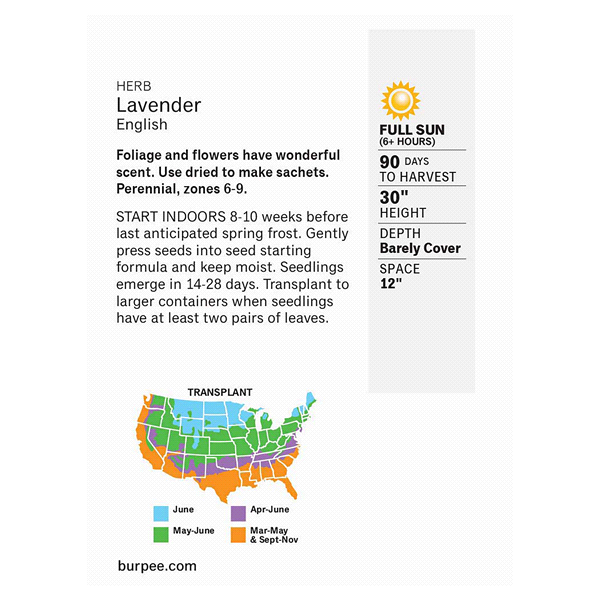 slide 4 of 5, Burpee Herb True Lavender Lavandula Angustifolia, 1 ct