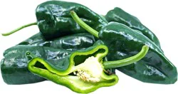 Fresh Poblano Chili Pepper
