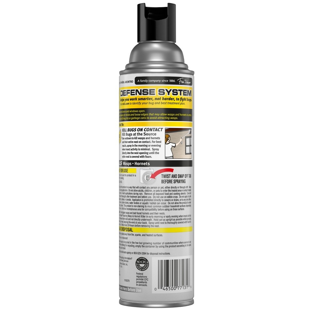 slide 4 of 4, Raid Max Foaming Wasp & Hornet Insecticide, 13 fl oz