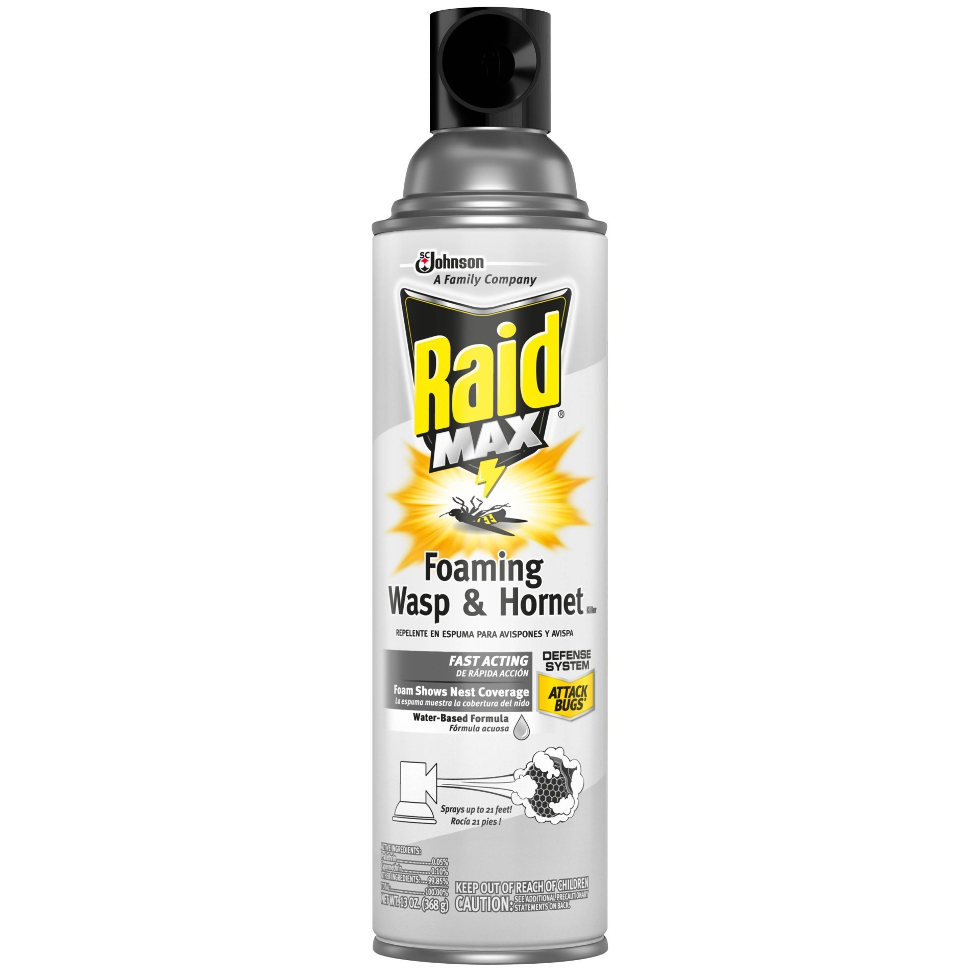 slide 1 of 4, Raid Max Foaming Wasp & Hornet Insecticide, 13 fl oz