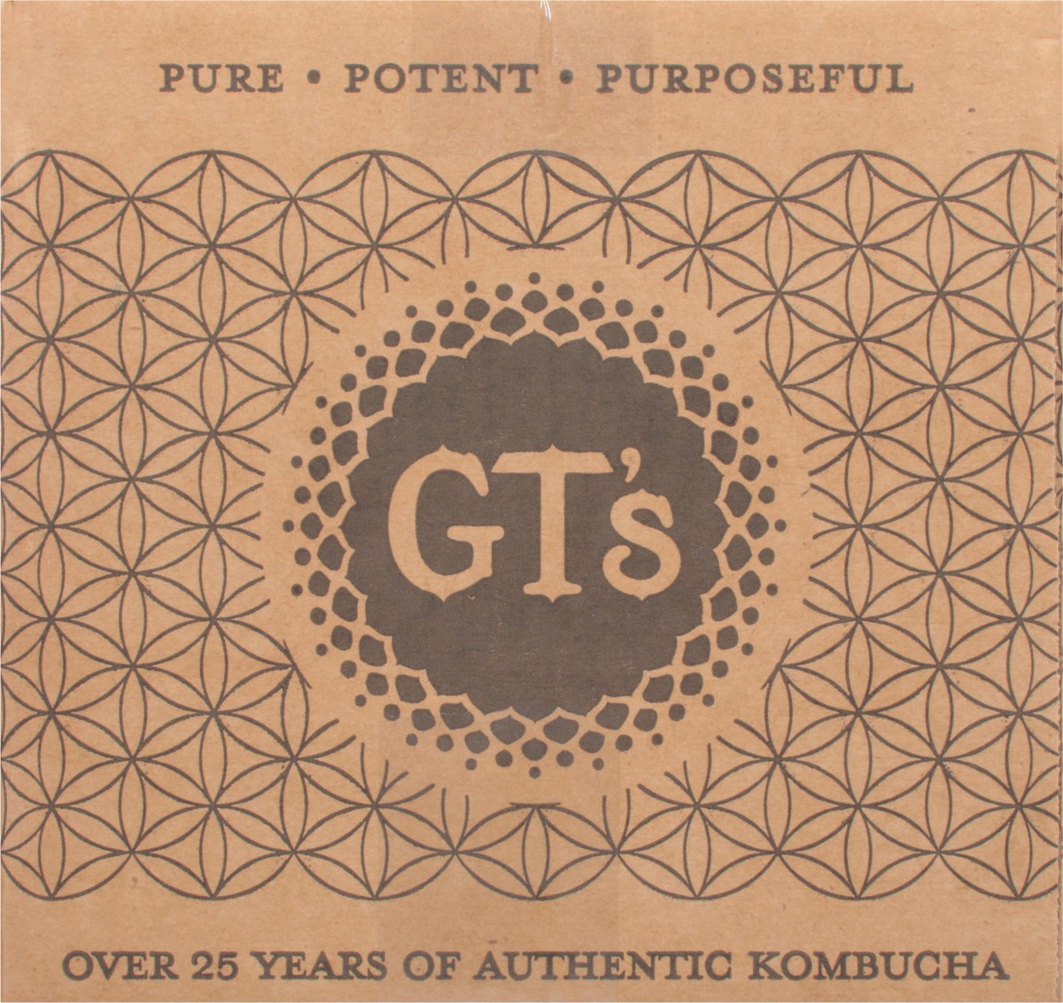 slide 8 of 12, Gt's Gingerade-Receiving Only!!, 20 liter